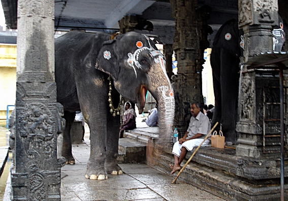 Kanchipuram - Kamakshi Amman temple