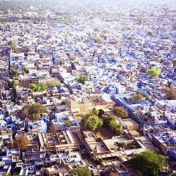 Jodhpur, la ville bleue